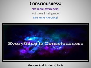 Consciousness is everything